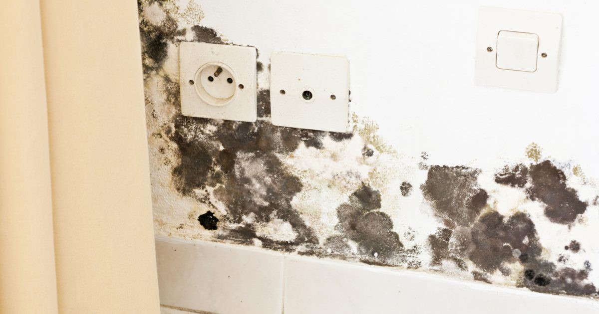 Clean Rite Cleaning and Restoration photo 3